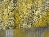15-6 Tribute Newtown 1_lr