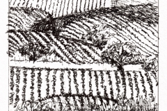 2015_08_23 Wine Country Vista_lr